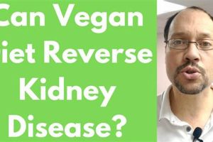 Vegan Diet & Kidney Disease: Can It Reverse? Safem Fabrication - Precision Engineering & Custom Manufacturing Solutions Vegan Diet & Kidney Disease: Can It Reverse? | Safem Fabrication - Precision Engineering & Custom Manufacturing Solutions