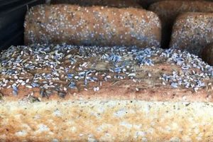 Best Vegan Bakery in San Antonio: Cakes & Treats! Safem Fabrication - Precision Engineering & Custom Manufacturing Solutions Best Vegan Bakery in San Antonio: Cakes & Treats! | Safem Fabrication - Precision Engineering & Custom Manufacturing Solutions
