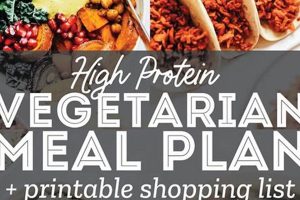 Fuel Your Body: High Protein Vegan Meal Plan Guide Safem Fabrication - Precision Engineering & Custom Manufacturing Solutions Fuel Your Body: High Protein Vegan Meal Plan Guide | Safem Fabrication - Precision Engineering & Custom Manufacturing Solutions