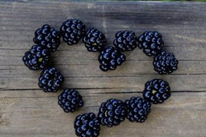 Candida & Vegan Diet: Plant-Based Yeast Control Safem Fabrication - Precision Engineering & Custom Manufacturing Solutions Candida & Vegan Diet: Plant-Based Yeast Control | Safem Fabrication - Precision Engineering & Custom Manufacturing Solutions