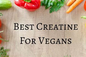 Boost: Creatine Vegan Diet Plan & Benefits (Guide) Safem Fabrication - Precision Engineering & Custom Manufacturing Solutions Boost: Creatine Vegan Diet Plan & Benefits (Guide) | Safem Fabrication - Precision Engineering & Custom Manufacturing Solutions