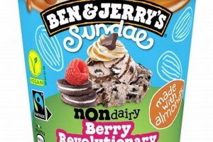 Indulge! Ben & Jerry's Vegan Ice Cream: Decadent Dairy-Free Safem Fabrication - Precision Engineering & Custom Manufacturing Solutions Indulge! Ben & Jerry's Vegan Ice Cream: Decadent Dairy-Free | Safem Fabrication - Precision Engineering & Custom Manufacturing Solutions