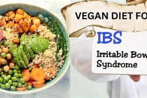 IBS Vegan Diet: Your Guide + Recipes! Safem Fabrication - Precision Engineering & Custom Manufacturing Solutions IBS Vegan Diet: Your Guide + Recipes! | Safem Fabrication - Precision Engineering & Custom Manufacturing Solutions