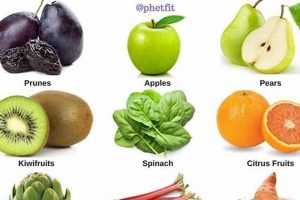 Can a Vegan Diet Help Constipation? Tips & Foods Safem Fabrication - Precision Engineering & Custom Manufacturing Solutions Can a Vegan Diet Help Constipation? Tips & Foods | Safem Fabrication - Precision Engineering & Custom Manufacturing Solutions