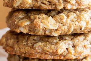 Best Vegan Oatmeal Cookie Recipe Ever! (Easy!) Safem Fabrication - Precision Engineering & Custom Manufacturing Solutions Best Vegan Oatmeal Cookie Recipe Ever! (Easy!) | Safem Fabrication - Precision Engineering & Custom Manufacturing Solutions