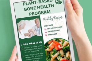 Plant-Based Power: Vegan Diet & Osteoporosis Solutions Safem Fabrication - Precision Engineering & Custom Manufacturing Solutions Plant-Based Power: Vegan Diet & Osteoporosis Solutions | Safem Fabrication - Precision Engineering & Custom Manufacturing Solutions