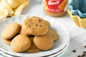 Are Biscoff Cookies Vegan? +Alternatives! Safem Fabrication - Precision Engineering & Custom Manufacturing Solutions Are Biscoff Cookies Vegan? +Alternatives! | Safem Fabrication - Precision Engineering & Custom Manufacturing Solutions