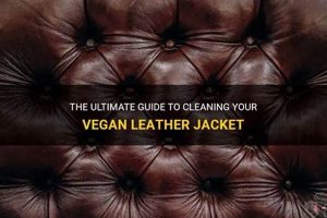 Vegan Guide: How to Clean a Vegan Leather Jacket + Tips Safem Fabrication - Precision Engineering & Custom Manufacturing Solutions Vegan Guide: How to Clean a Vegan Leather Jacket + Tips | Safem Fabrication - Precision Engineering & Custom Manufacturing Solutions