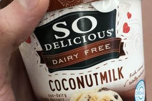 The Best Vegan Gluten-Free Ice Cream: Tips & Recipes Safem Fabrication - Precision Engineering & Custom Manufacturing Solutions The Best Vegan Gluten-Free Ice Cream: Tips & Recipes | Safem Fabrication - Precision Engineering & Custom Manufacturing Solutions