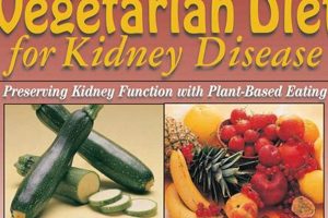 Guide: Vegan Diet for Kidney Disease - Safe & Effective Safem Fabrication - Precision Engineering & Custom Manufacturing Solutions Guide: Vegan Diet for Kidney Disease - Safe & Effective | Safem Fabrication - Precision Engineering & Custom Manufacturing Solutions