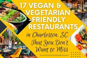 Best Vegan Restaurants Charleston SC: A Guide to Plant-Based Eats Safem Fabrication - Precision Engineering & Custom Manufacturing Solutions Best Vegan Restaurants Charleston SC: A Guide to Plant-Based Eats | Safem Fabrication - Precision Engineering & Custom Manufacturing Solutions