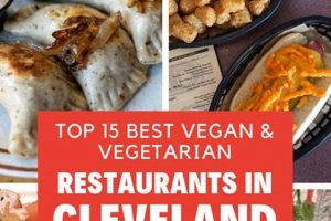 Your Guide to Vegan Restaurants in Cleveland, Ohio! Safem Fabrication - Precision Engineering & Custom Manufacturing Solutions Your Guide to Vegan Restaurants in Cleveland, Ohio! | Safem Fabrication - Precision Engineering & Custom Manufacturing Solutions