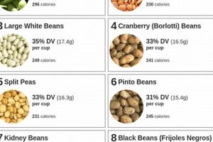 Fuel Your Body: High Protein Vegan Recipes for Gains! Safem Fabrication - Precision Engineering & Custom Manufacturing Solutions Fuel Your Body: High Protein Vegan Recipes for Gains! | Safem Fabrication - Precision Engineering & Custom Manufacturing Solutions
