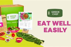 Delicious Green Chef Vegan Meals: Delivered & Ready! Safem Fabrication - Precision Engineering & Custom Manufacturing Solutions Delicious Green Chef Vegan Meals: Delivered & Ready! | Safem Fabrication - Precision Engineering & Custom Manufacturing Solutions