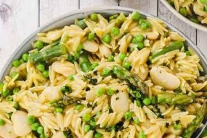 Easy Vegan Orzo Recipes: Delicious Plant-Based Dishes Safem Fabrication - Precision Engineering & Custom Manufacturing Solutions Easy Vegan Orzo Recipes: Delicious Plant-Based Dishes | Safem Fabrication - Precision Engineering & Custom Manufacturing Solutions