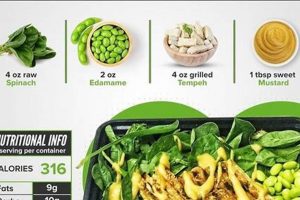 Fuel Vegan Muscle: Meal Plan for Building Strength Safem Fabrication - Precision Engineering & Custom Manufacturing Solutions Fuel Vegan Muscle: Meal Plan for Building Strength | Safem Fabrication - Precision Engineering & Custom Manufacturing Solutions