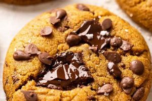 The BEST Vegan Chocolate Chip Pumpkin Cookies Recipe! Safem Fabrication - Precision Engineering & Custom Manufacturing Solutions The BEST Vegan Chocolate Chip Pumpkin Cookies Recipe! | Safem Fabrication - Precision Engineering & Custom Manufacturing Solutions