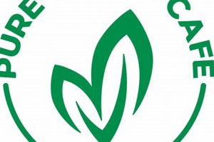 Discover Our Pure Vegan Cafe Menu: Delicious & Ethical Safem Fabrication - Precision Engineering & Custom Manufacturing Solutions Discover Our Pure Vegan Cafe Menu: Delicious & Ethical | Safem Fabrication - Precision Engineering & Custom Manufacturing Solutions