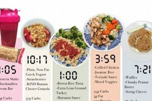 Vegan Diet Macros: A Simple Guide for Optimal Nutrition Safem Fabrication - Precision Engineering & Custom Manufacturing Solutions Vegan Diet Macros: A Simple Guide for Optimal Nutrition | Safem Fabrication - Precision Engineering & Custom Manufacturing Solutions