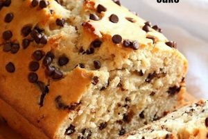 Ultimate Vegan Chocolate Chip Cake Recipe (Easy!) Discover Delicious Vegan Food, Beauty Swaps, and Zero-Waste Tips for a Greener Life Ultimate Vegan Chocolate Chip Cake Recipe (Easy!) | Discover Delicious Vegan Food, Beauty Swaps, and Zero-Waste Tips for a Greener Life