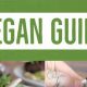 The Best Plant-Based Vegan Restaurants in St Louis Guide | Discover Delicious Vegan Food, Beauty Swaps, and Zero-Waste Tips for a Greener Life