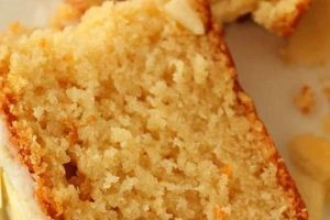 Easy Vegan Pound Cake Recipe: The Best Ever! Discover Delicious Vegan Food, Beauty Swaps, and Zero-Waste Tips for a Greener Life Easy Vegan Pound Cake Recipe: The Best Ever! | Discover Delicious Vegan Food, Beauty Swaps, and Zero-Waste Tips for a Greener Life