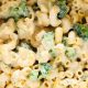 Guide: Best Vegan Cheese for Mac and Cheese (Creamy!) | Discover Delicious Vegan Food, Beauty Swaps, and Zero-Waste Tips for a Greener Life