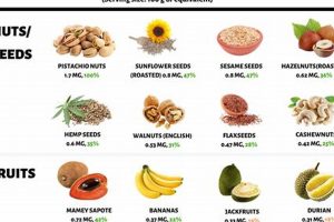 Boost Vegan B6: Top Foods & Recipes for You! Safem Fabrication - Precision Engineering & Custom Manufacturing Solutions Boost Vegan B6: Top Foods & Recipes for You! | Safem Fabrication - Precision Engineering & Custom Manufacturing Solutions