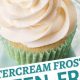 Easy Vegan Gluten-Free Frosting: Delicious & Free! | Discover Delicious Vegan Food, Beauty Swaps, and Zero-Waste Tips for a Greener Life