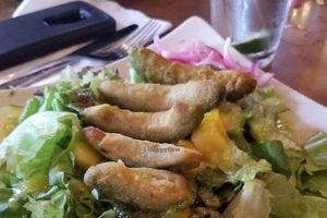 Best Vegan Restaurant Springfield: Plant-Based & More! Safem Fabrication - Precision Engineering & Custom Manufacturing Solutions Best Vegan Restaurant Springfield: Plant-Based & More! | Safem Fabrication - Precision Engineering & Custom Manufacturing Solutions