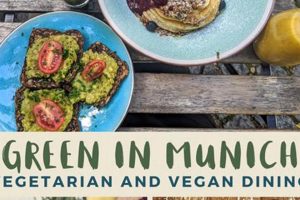 Best Munich Vegan Restaurants: Your Plant-Based Guide Safem Fabrication - Precision Engineering & Custom Manufacturing Solutions Best Munich Vegan Restaurants: Your Plant-Based Guide | Safem Fabrication - Precision Engineering & Custom Manufacturing Solutions