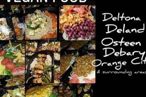 Delicious Vegan Takeout Food Near You Safem Fabrication - Precision Engineering & Custom Manufacturing Solutions Delicious Vegan Takeout Food Near You | Safem Fabrication - Precision Engineering & Custom Manufacturing Solutions