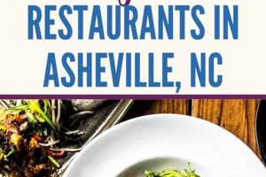 Asheville Vegan Food: NC's Plant-Based Paradise! Safem Fabrication - Precision Engineering & Custom Manufacturing Solutions Asheville Vegan Food: NC's Plant-Based Paradise! | Safem Fabrication - Precision Engineering & Custom Manufacturing Solutions