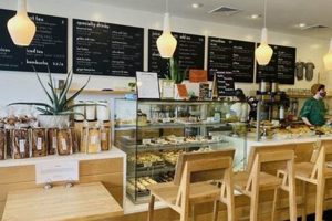 Best Vegan Bakery RI: Sweet Treats & More! Safem Fabrication - Precision Engineering & Custom Manufacturing Solutions Best Vegan Bakery RI: Sweet Treats & More! | Safem Fabrication - Precision Engineering & Custom Manufacturing Solutions