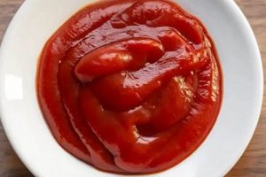 Best Vegan Catsup Recipe: Easy & Delicious! Safem Fabrication - Precision Engineering & Custom Manufacturing Solutions Best Vegan Catsup Recipe: Easy & Delicious! | Safem Fabrication - Precision Engineering & Custom Manufacturing Solutions