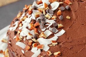 Decadent Vegan German Chocolate: A Guilt-Free Treat Safem Fabrication - Precision Engineering & Custom Manufacturing Solutions Decadent Vegan German Chocolate: A Guilt-Free Treat | Safem Fabrication - Precision Engineering & Custom Manufacturing Solutions
