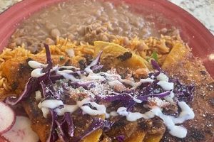 Plant-Based Delights: Vegan Food in Santa Clarita, CA Safem Fabrication - Precision Engineering & Custom Manufacturing Solutions Plant-Based Delights: Vegan Food in Santa Clarita, CA | Safem Fabrication - Precision Engineering & Custom Manufacturing Solutions