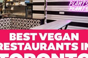 Guide: Best Ontario Vegan Restaurants Near You (2024) Safem Fabrication - Precision Engineering & Custom Manufacturing Solutions Guide: Best Ontario Vegan Restaurants Near You (2024) | Safem Fabrication - Precision Engineering & Custom Manufacturing Solutions