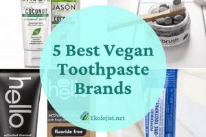 Top-Rated Best Vegan Toothpaste: Natural & Effective! Safem Fabrication - Precision Engineering & Custom Manufacturing Solutions Top-Rated Best Vegan Toothpaste: Natural & Effective! | Safem Fabrication - Precision Engineering & Custom Manufacturing Solutions