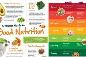 Easy Vegan Diet Starter Kit: Your Plant-Based Guide! Safem Fabrication - Precision Engineering & Custom Manufacturing Solutions Easy Vegan Diet Starter Kit: Your Plant-Based Guide! | Safem Fabrication - Precision Engineering & Custom Manufacturing Solutions