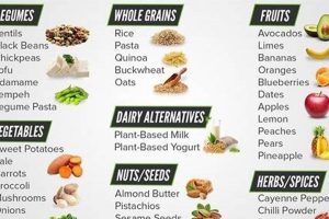 Get Your Lean Vegan Body: Bodybuilding Vegan Diet Plan PDF Safem Fabrication - Precision Engineering & Custom Manufacturing Solutions Get Your Lean Vegan Body: Bodybuilding Vegan Diet Plan PDF | Safem Fabrication - Precision Engineering & Custom Manufacturing Solutions