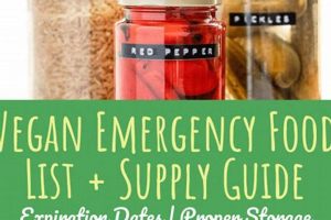 Best Vegan Emergency Food: Plant-Based Survival Guide Safem Fabrication - Precision Engineering & Custom Manufacturing Solutions Best Vegan Emergency Food: Plant-Based Survival Guide | Safem Fabrication - Precision Engineering & Custom Manufacturing Solutions