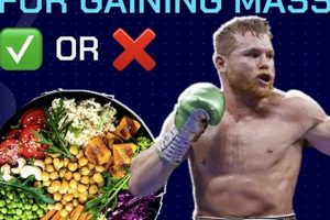 Is a Vegan Diet Safe for Boxers? Nutrition Guide! Safem Fabrication - Precision Engineering & Custom Manufacturing Solutions Is a Vegan Diet Safe for Boxers? Nutrition Guide! | Safem Fabrication - Precision Engineering & Custom Manufacturing Solutions