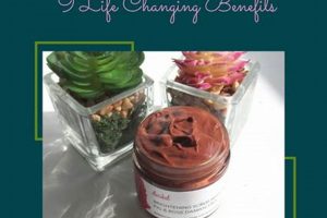 Best Vegan Skin Products: Glow Up Ethically! Safem Fabrication - Precision Engineering & Custom Manufacturing Solutions Best Vegan Skin Products: Glow Up Ethically! | Safem Fabrication - Precision Engineering & Custom Manufacturing Solutions