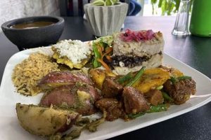 Discover Vegan Food in Puerto Rico: A Delicious Guide Safem Fabrication - Precision Engineering & Custom Manufacturing Solutions Discover Vegan Food in Puerto Rico: A Delicious Guide | Safem Fabrication - Precision Engineering & Custom Manufacturing Solutions