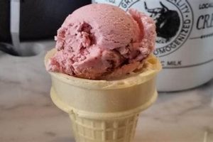 Best Vegan Ice Cream St Louis: Dairy-Free Treats! Safem Fabrication - Precision Engineering & Custom Manufacturing Solutions Best Vegan Ice Cream St Louis: Dairy-Free Treats! | Safem Fabrication - Precision Engineering & Custom Manufacturing Solutions