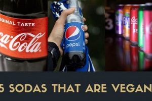 Vegan Soda Nudes: Simple, Ethical & Refreshing Safem Fabrication - Precision Engineering & Custom Manufacturing Solutions Vegan Soda Nudes: Simple, Ethical & Refreshing | Safem Fabrication - Precision Engineering & Custom Manufacturing Solutions
