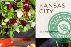 Best Vegan Restaurants in Kansas City: Your Guide Safem Fabrication - Precision Engineering & Custom Manufacturing Solutions Best Vegan Restaurants in Kansas City: Your Guide | Safem Fabrication - Precision Engineering & Custom Manufacturing Solutions