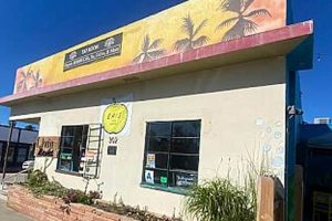 The Best Vegan Restaurants Oceanside, CA: Local Guide Discover Delicious Vegan Food, Beauty Swaps, and Zero-Waste Tips for a Greener Life The Best Vegan Restaurants Oceanside, CA: Local Guide | Discover Delicious Vegan Food, Beauty Swaps, and Zero-Waste Tips for a Greener Life