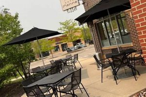 Dine Plant-Based: Vegan Restaurants Brookfield Guide & More Safem Fabrication - Precision Engineering & Custom Manufacturing Solutions Dine Plant-Based: Vegan Restaurants Brookfield Guide & More | Safem Fabrication - Precision Engineering & Custom Manufacturing Solutions